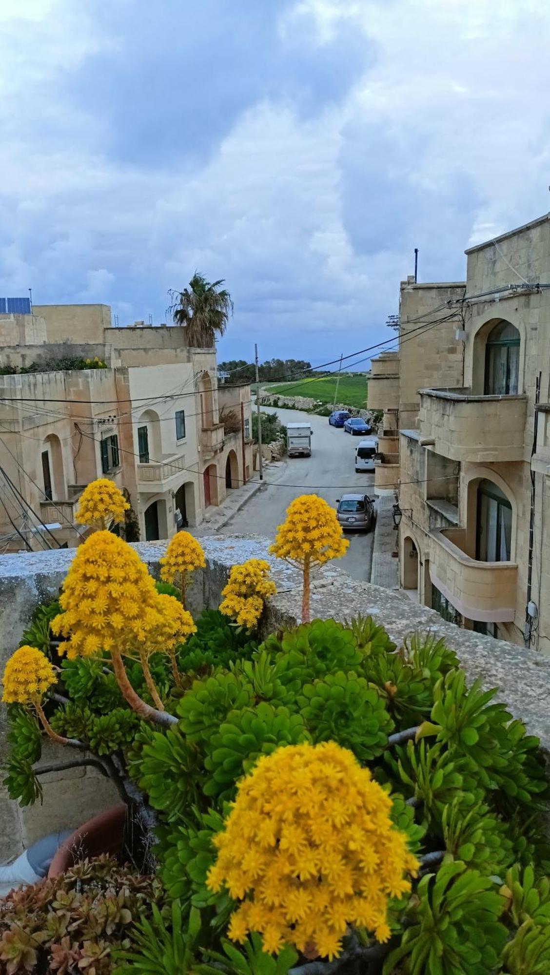 Arthome - Guest Rooms Gharb  Luaran gambar